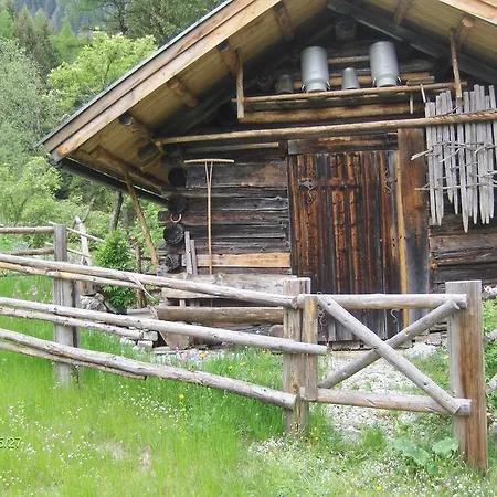 Bauernhof Haflingerhof Schmid *