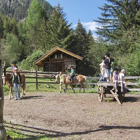 Haflingerhof Schmid Kaunertal