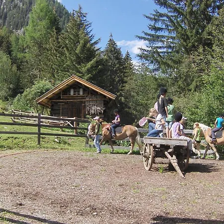 Haflingerhof Schmid Kaunertal
