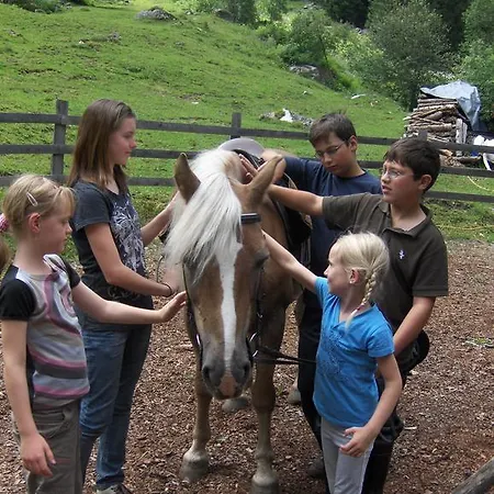 Farm stay Haflingerhof Schmid