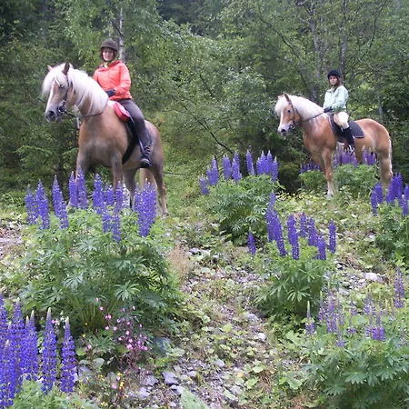 Farm stay Haflingerhof Schmid *
